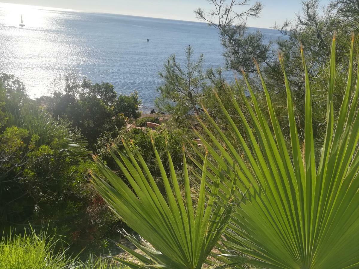 דירות Cabo Roig Bellavista III מראה חיצוני תמונה