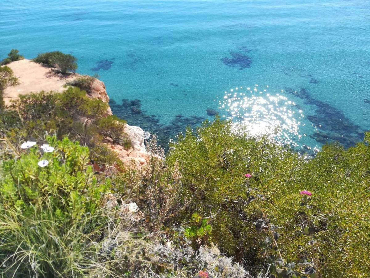 דירות Cabo Roig Bellavista III מראה חיצוני תמונה