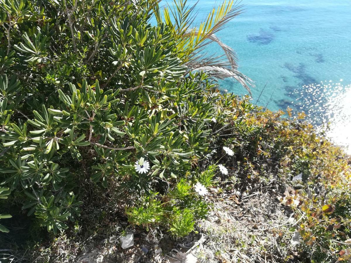 דירות Cabo Roig Bellavista III מראה חיצוני תמונה
