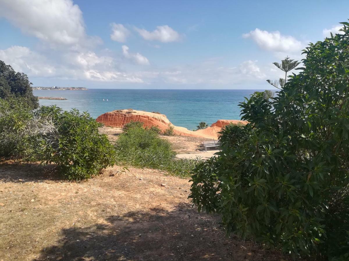 דירות Cabo Roig Bellavista III מראה חיצוני תמונה